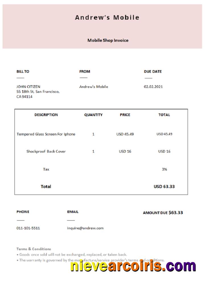 USA Andrew’s Mobile invoice